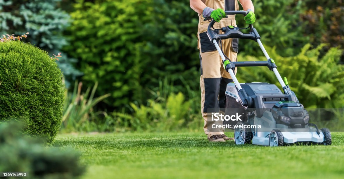 Lawn Care Offer